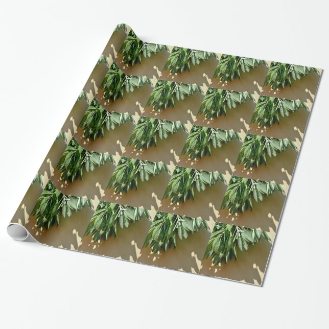 Elegant green botanical leaves Fresh-cut herbs Wrapping Paper (Unrolled)