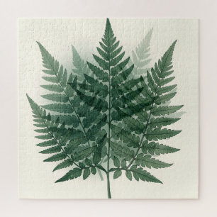 Elegant Green Fern Fronds Botanical  Jigsaw Puzzle