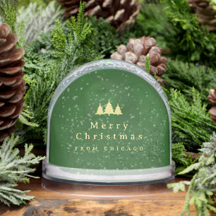 Elegant Green Gold Photo Snow Globe