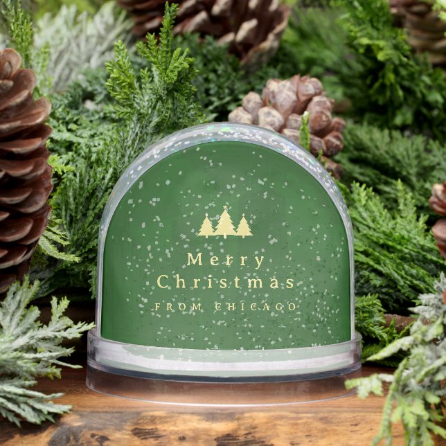 Elegant Green Gold Photo Snow Globe (Winter)