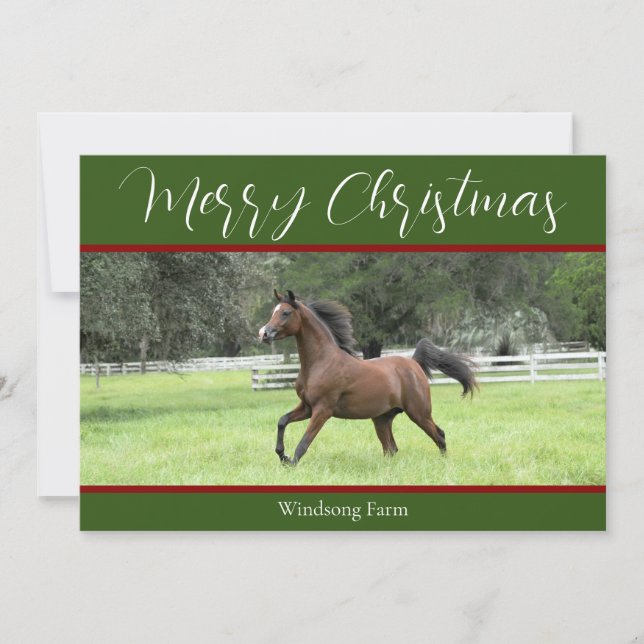 Elegant Green Red Arabian Horse 1 Photo Christmas Holiday Card (Front)