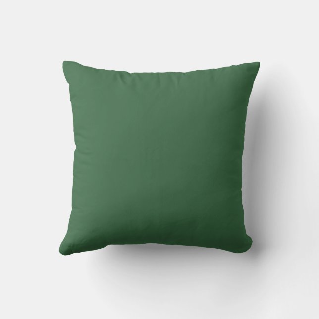 Elegant Green Solid Colour  Cushion (Back)