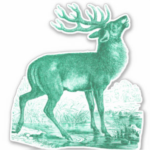 Elegant Green Toile Deer Buck Grunting