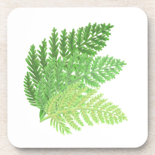 Elegant green watercolor ferns woodland leaves coaster (Front)