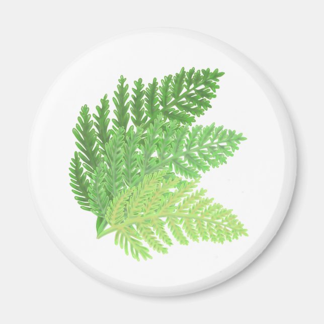 Elegant green watercolor ferns woodland leaves magnet (Front)