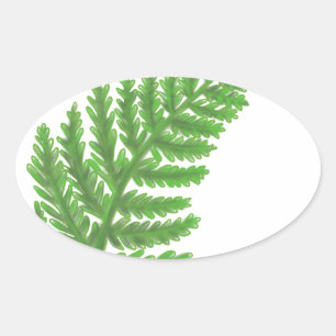 Elegant green watercolor ferns woodland leaves oval sticker