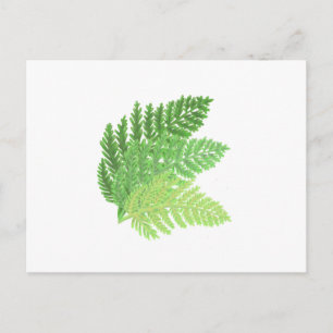 Elegant green watercolor ferns woodland leaves postcard