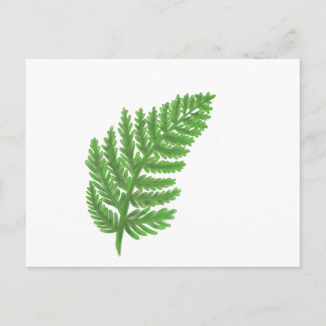 Elegant green watercolor ferns woodland leaves postcard (Front)