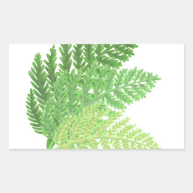 Elegant green watercolor ferns woodland leaves rectangular sticker (Front)
