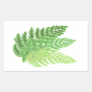 Elegant green watercolor ferns woodland leaves rectangular sticker