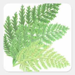 Elegant green watercolor ferns woodland leaves square sticker