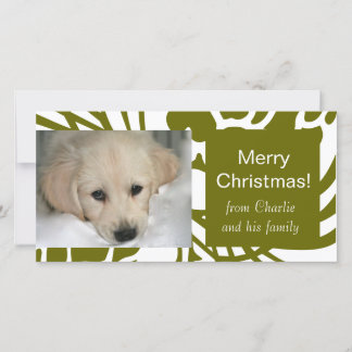Elegant Green White Dog Christmas Photo Cards