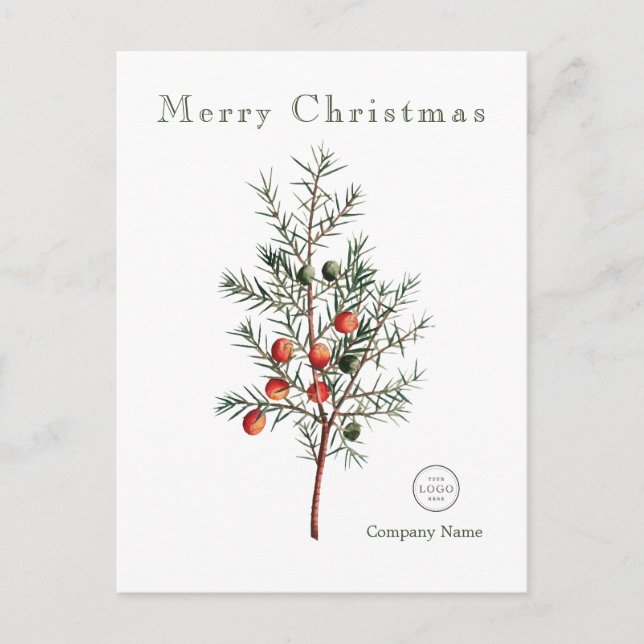 Elegant Greenery Christmas Berries  Holiday Postcard (Front)