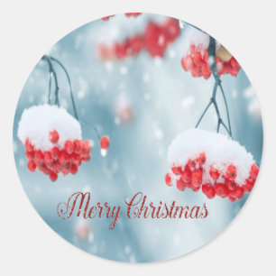 Elegant Holly Berries,Branches,Snow Holiday Classic Round Sticker