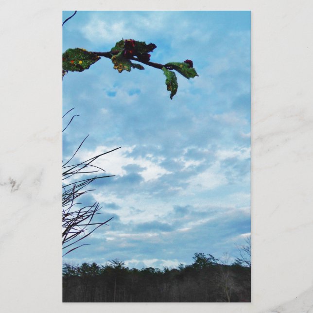 Elegant Holly Christmas,  blue sky (Front)