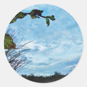 Elegant Holly Christmas, blue sky Classic Round Sticker