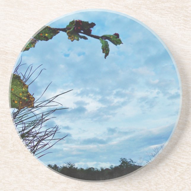 Elegant Holly Christmas,  blue sky Coaster (Front)