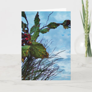 Elegant Holly Christmas,  blue sky Holiday Card