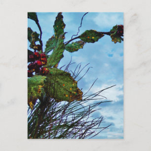 Elegant Holly Christmas, blue sky Holiday Postcard