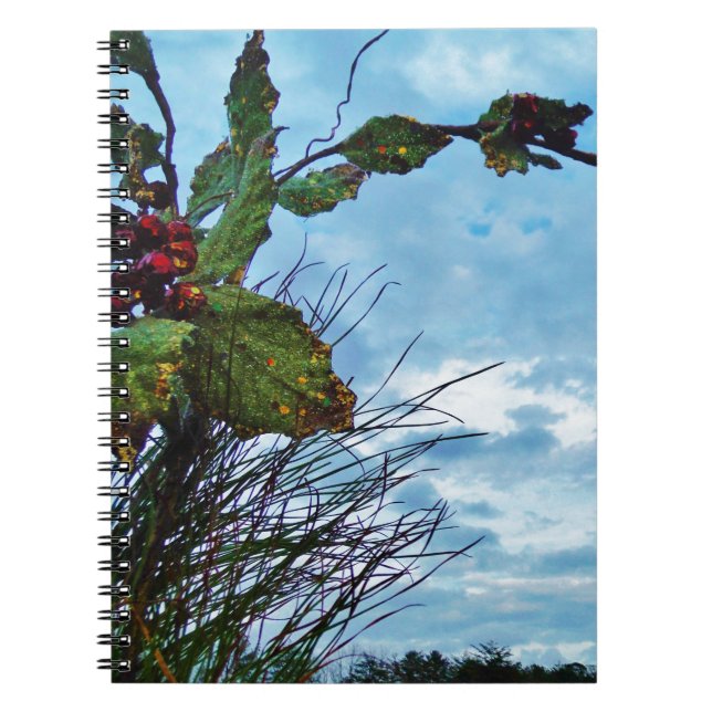 Elegant Holly Christmas,  blue sky Notebook (Front)