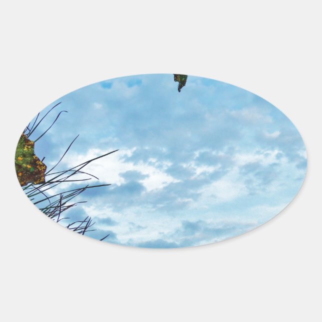 Elegant Holly Christmas,  blue sky Oval Sticker (Front)