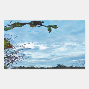 Elegant Holly Christmas, blue sky Rectangular Sticker