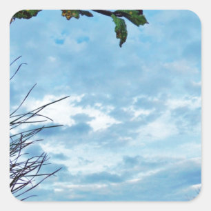 Elegant Holly Christmas, blue sky Square Sticker