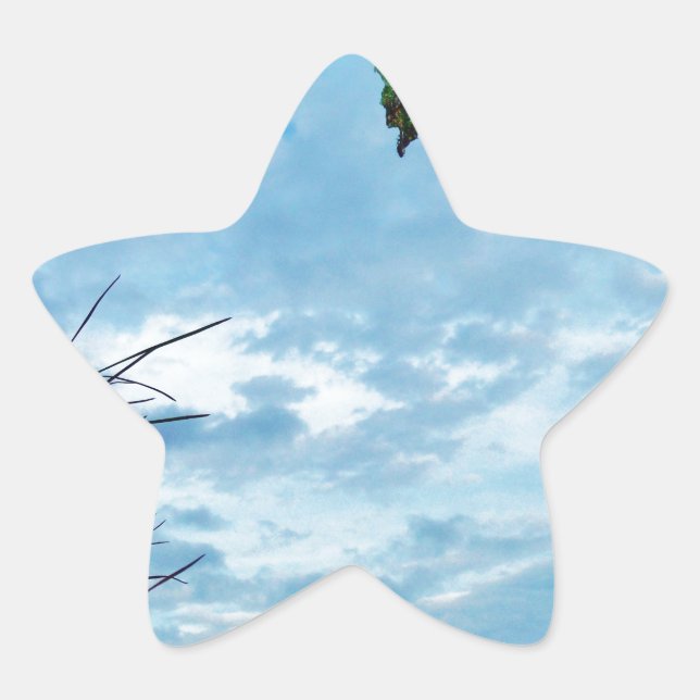 Elegant Holly Christmas,  blue sky Star Sticker (Front)