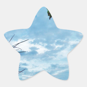 Elegant Holly Christmas, blue sky Star Sticker