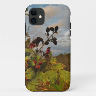 Elegant Holly Christmas, iPhone 11 Case