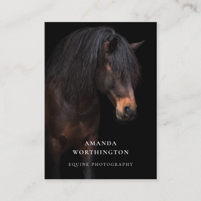 Elegant Horse Equestrian Equine Photography Business Card (Front)