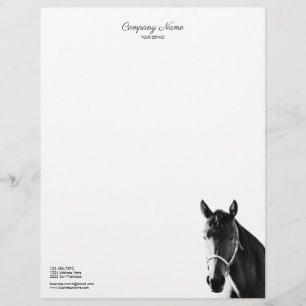 Elegant Horse Head Black White Letterhead