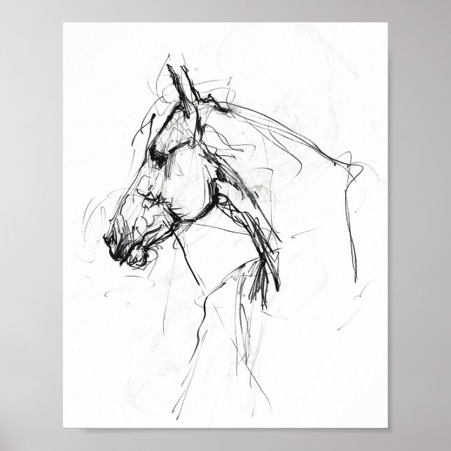 Elegant Horse Portrait Sketch - Premium Poster (Front)