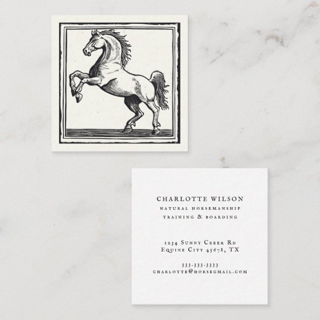 Elegant Horse Training Riding Equestrian  Square Business Card (Front/Back)