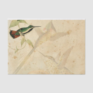 Elegant Hummingbird Tissue Paper