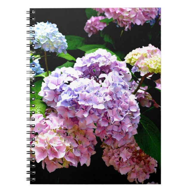 Elegant hydrangea gardens pink purple blue floral notebook (Front)
