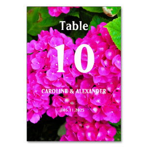 Elegant Hydrangea Pink Floral Blossoms Table Number
