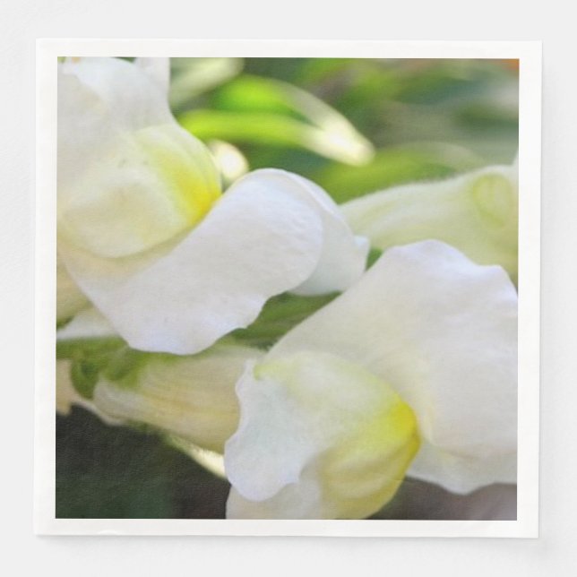 Elegant in White Napkin (Front)