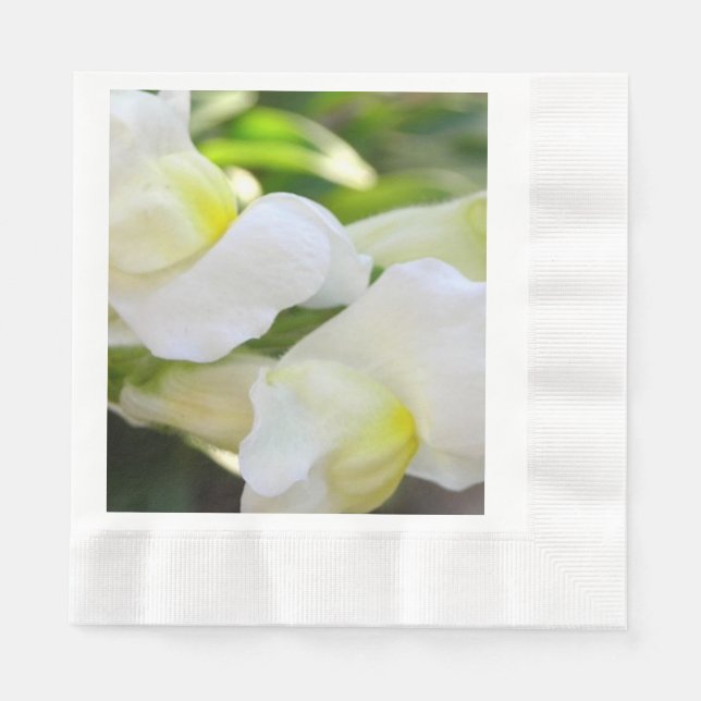Elegant in White Paper Napkins (Front)