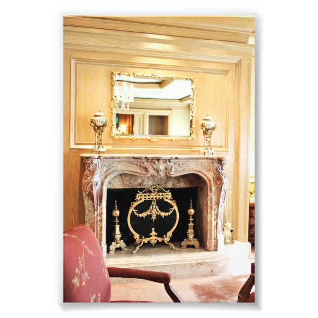 elegant interior fireplace photo (Front)
