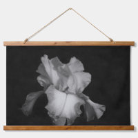 Elegant Iris Black White Floral Photo