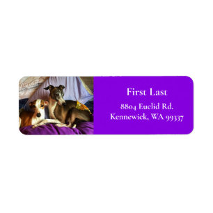 Elegant Italian Greyhound Return Address Labels