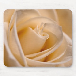 Elegant Ivory Rose Mouse Mat