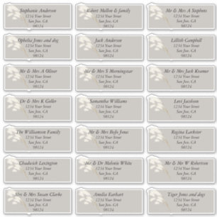 Elegant Ivory White Pampas Grass