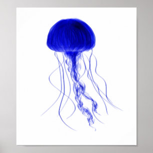 Elegant Jellyfish Poster