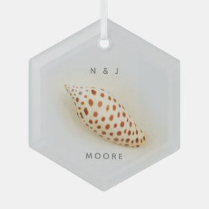 Elegant Junonia Beach Shell  Glass Tree Decoration