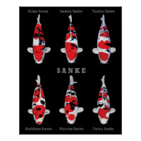 Elegant Koi Fish Poster – Timeless & Artistic Deco