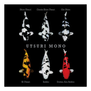 Elegant Koi Fish Poster – Timeless & Artistic Deco