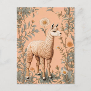Elegant Lama and Daisy Flowers On Peach Postcard