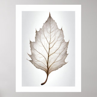 Elegant Leaf Natures Vein Artprint Poster
